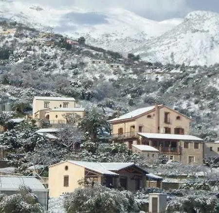 Bergi