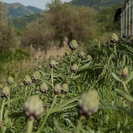 Bergi Castelbuono (Sicily)