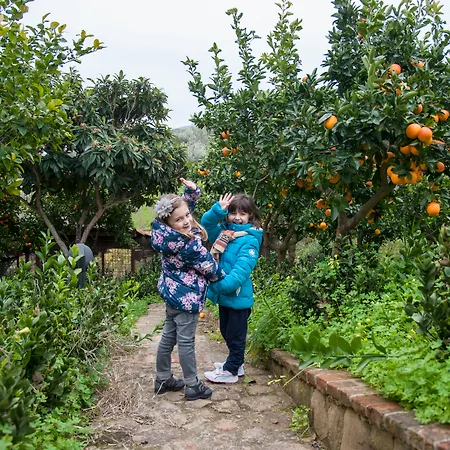 Bergi 3* Castelbuono (Sicily)