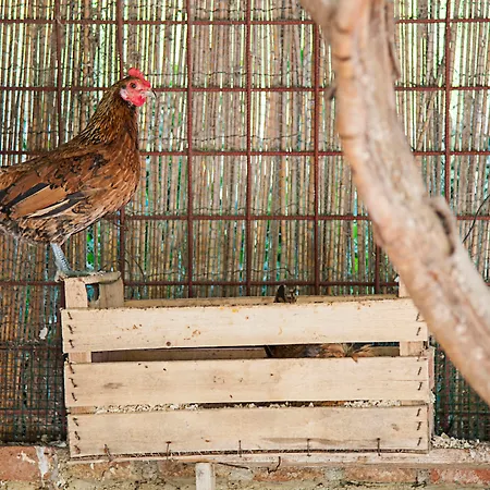 Bergi Hotel Castelbuono (Sicily)